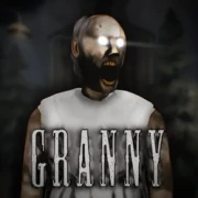 Play Granny Game
